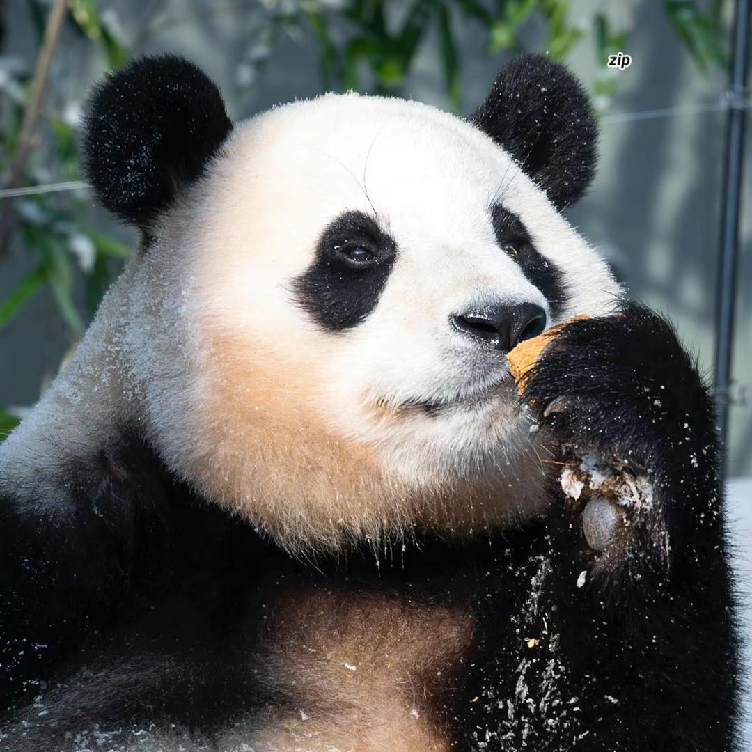 王甜甜a💚