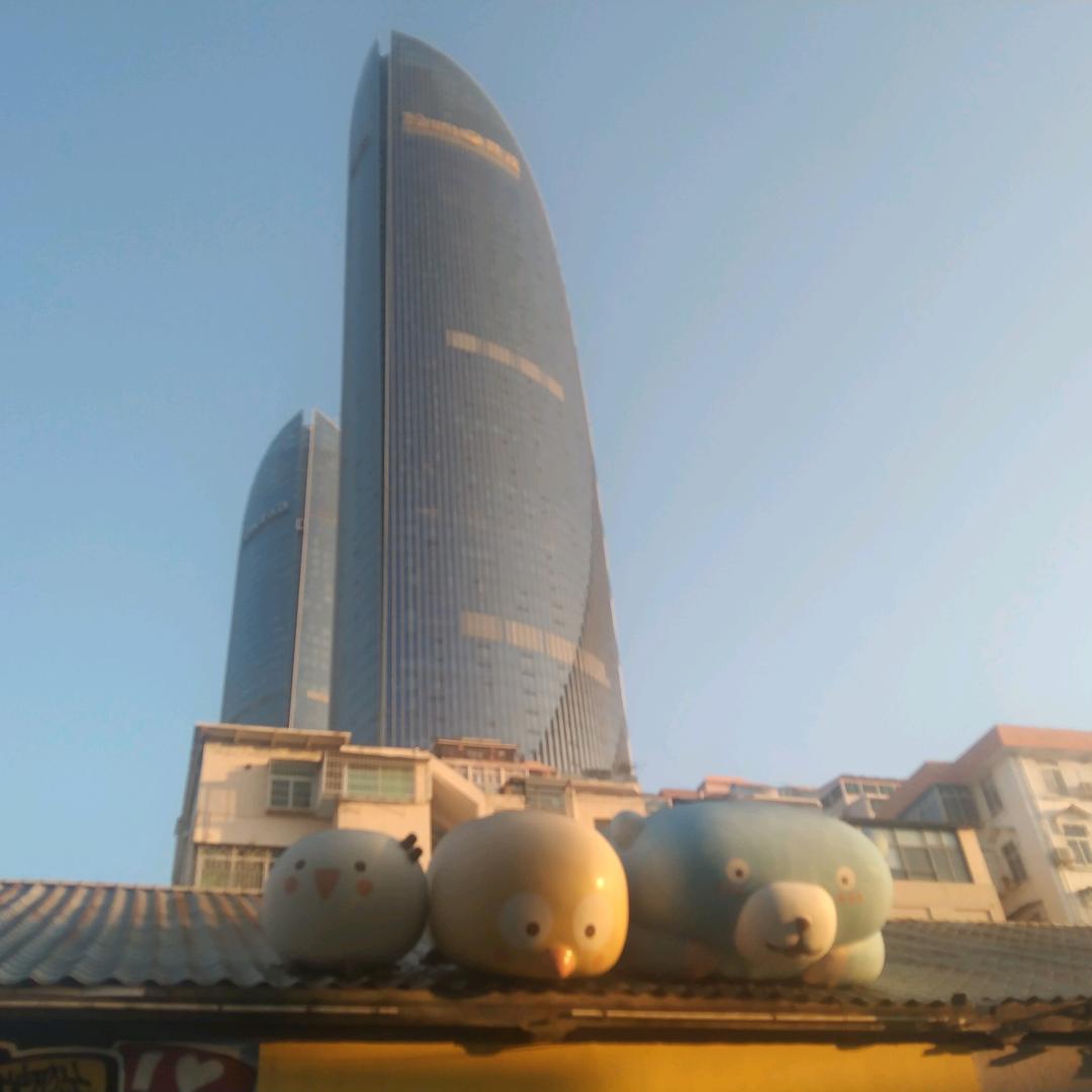 阿福包子专业做包子，粽子