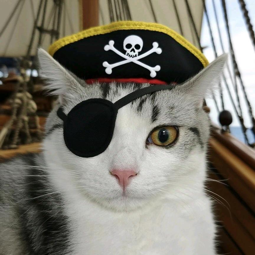 壹条鱼不出门(小扁担）