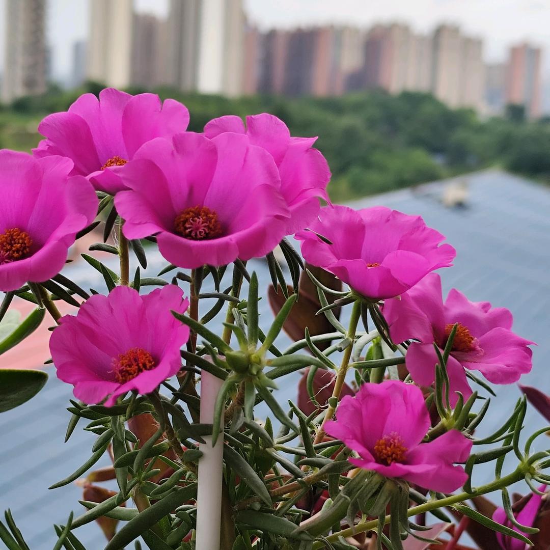 李友金佳惠超市(铁北店)