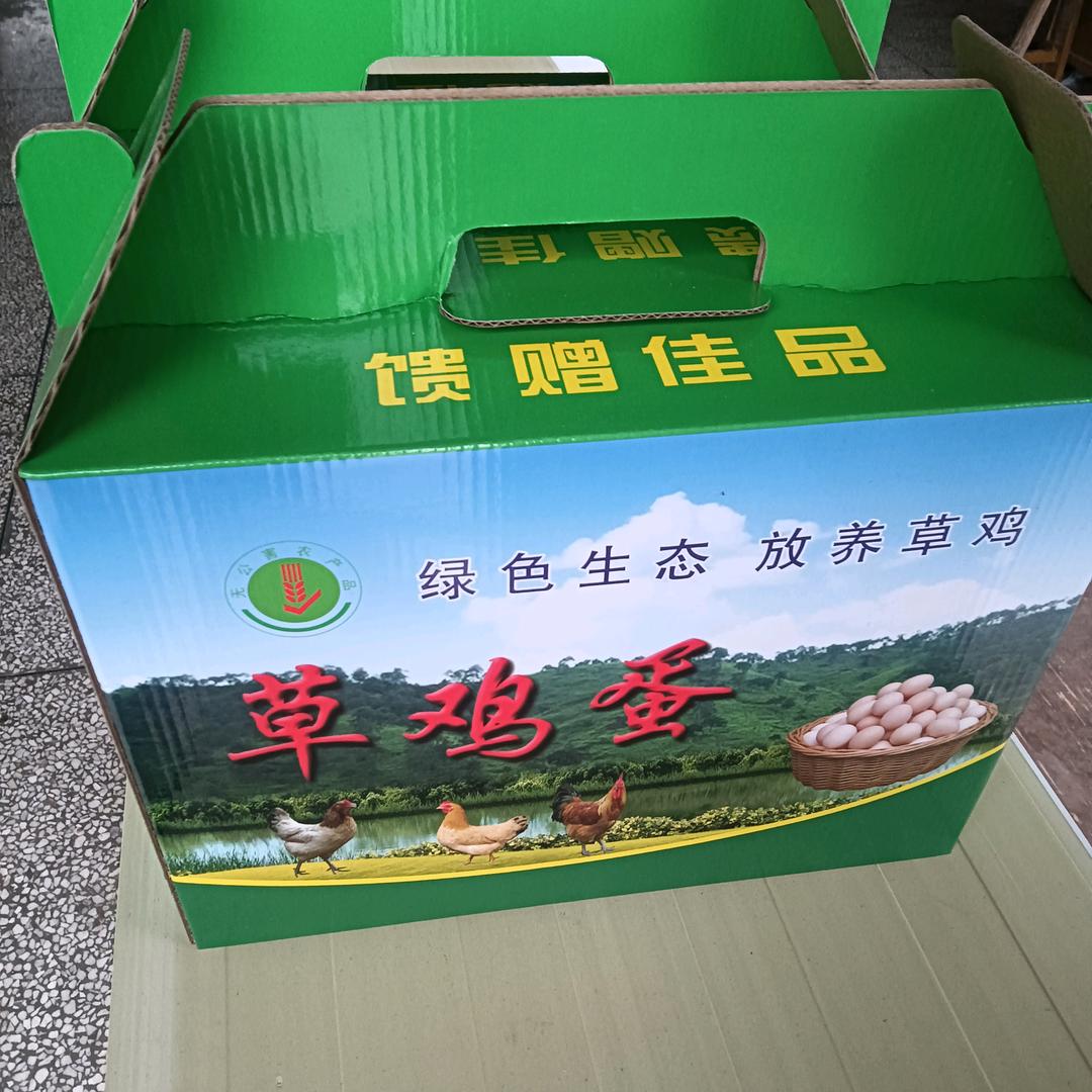 龙城家禽养殖专业合作社