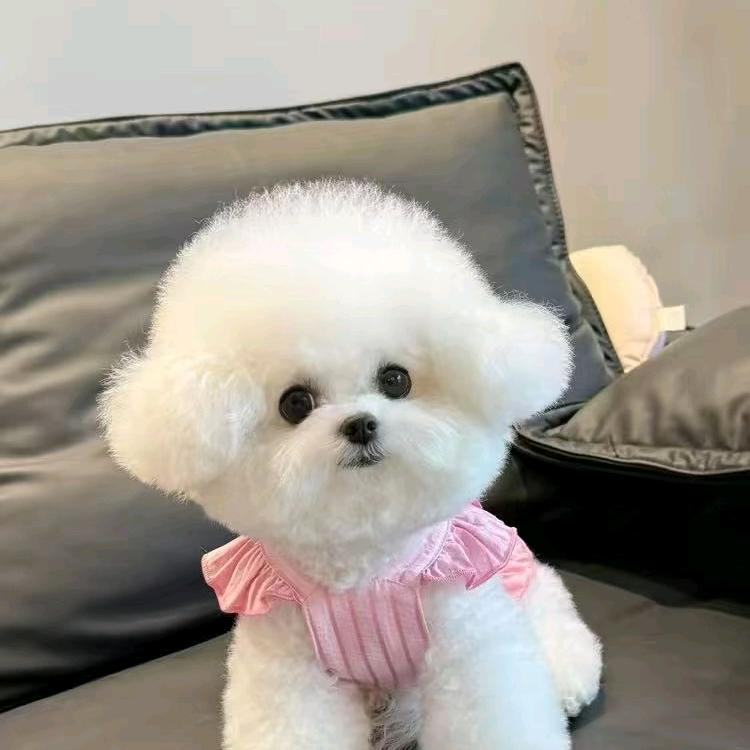 启零慧商贸精选铺