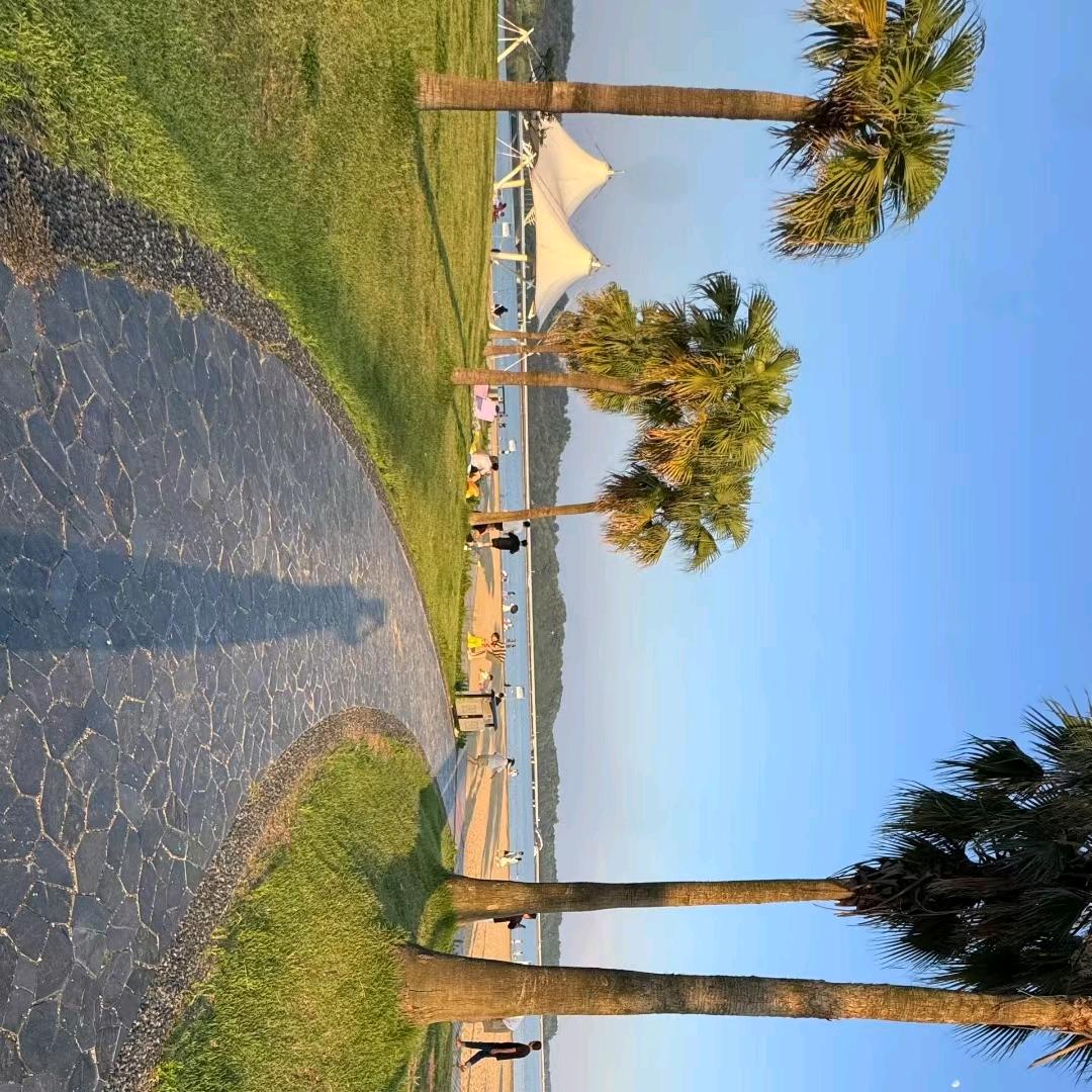 烤肉喜欢喝茫茫杨枝甘露