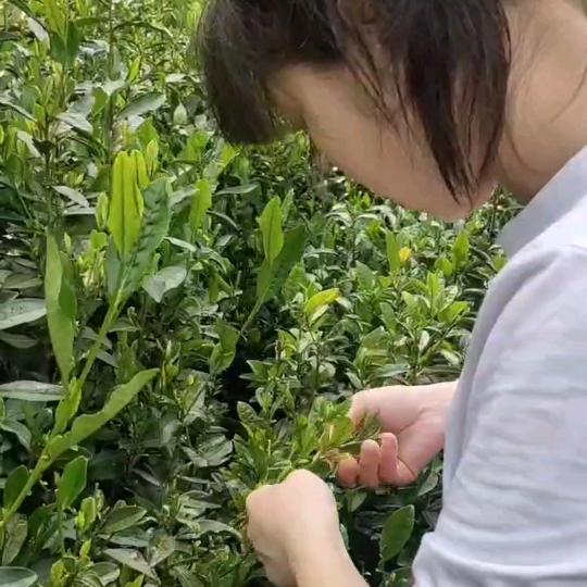 三胎宝妈带娃日常