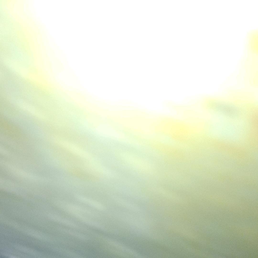 张 文 献