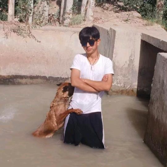 Adil328