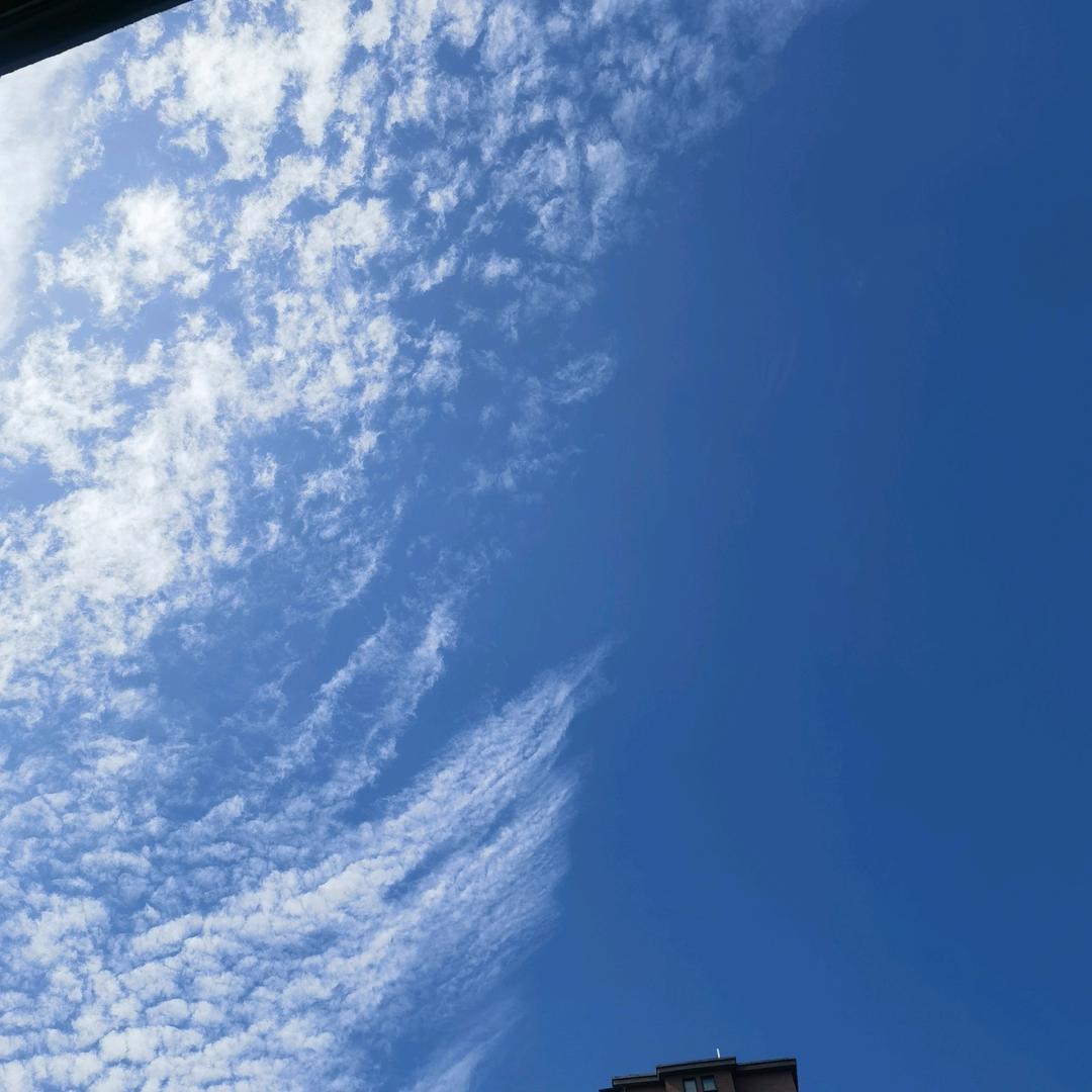 静待花开