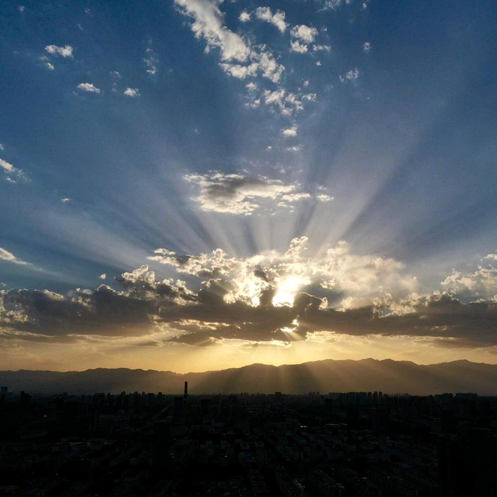 贺兰山下金掌柜