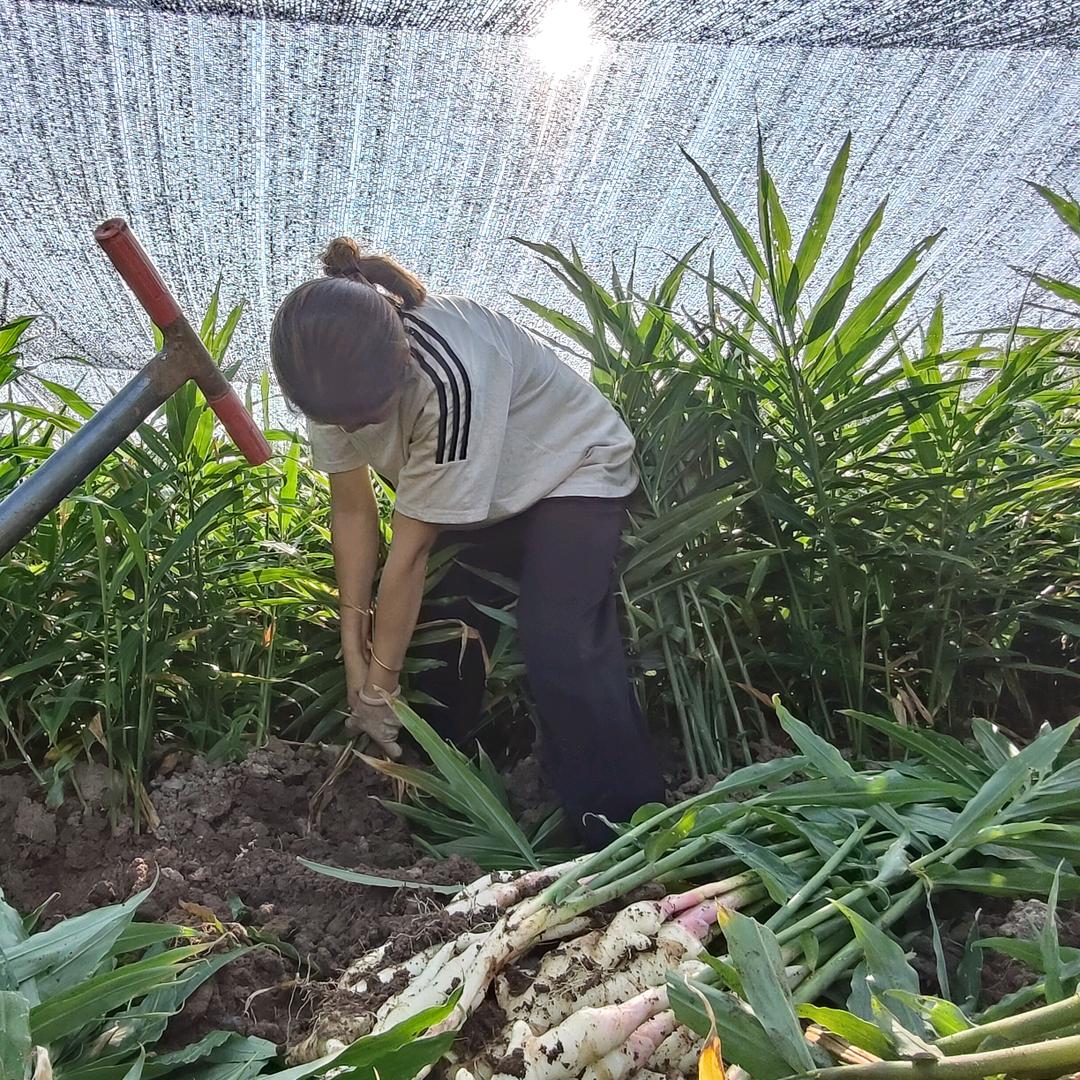 一～个～达～不～刘