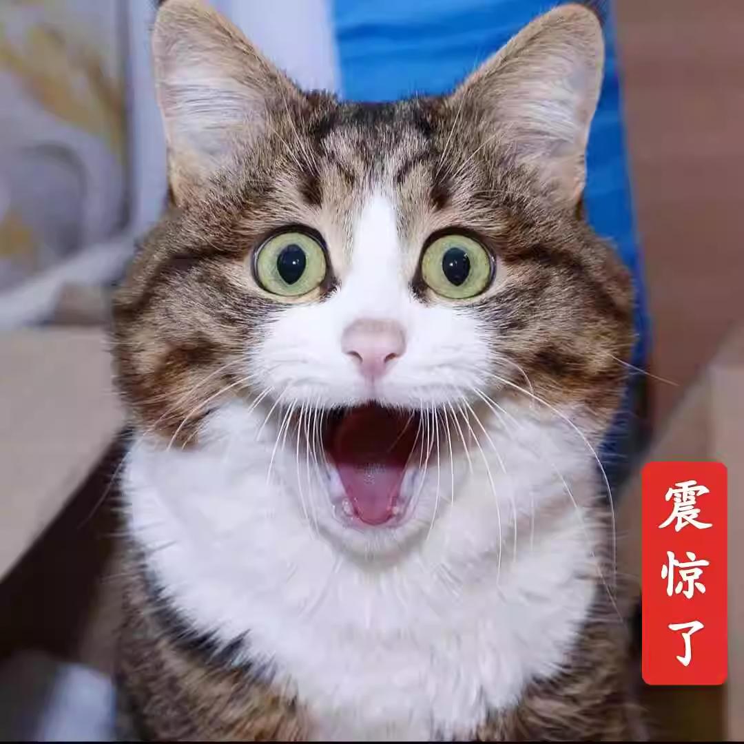 灵魂鬼才