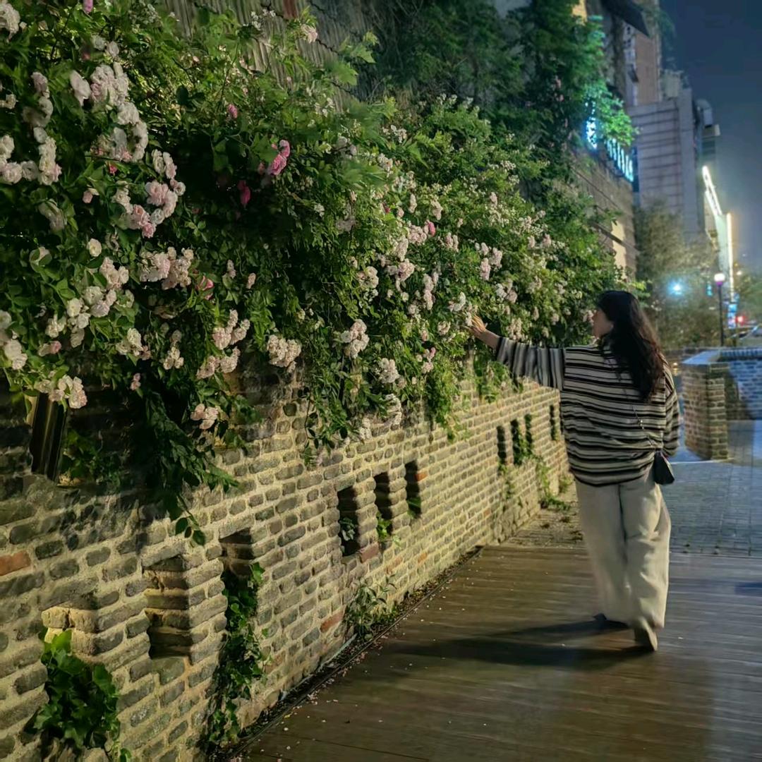 花海喜事