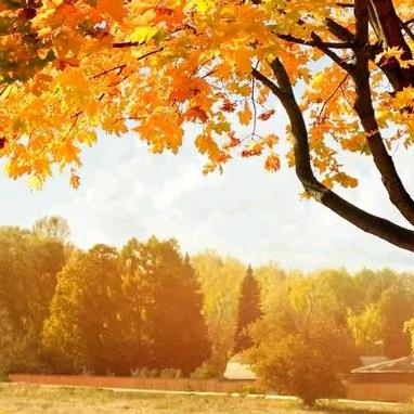 安安稳稳睡个觉