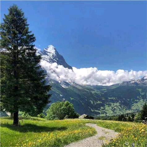 每一段路都是一种领悟