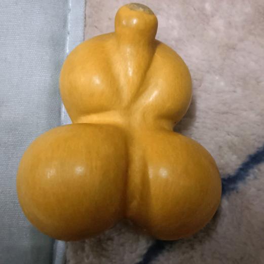 情锁花哥