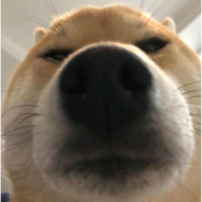 惜