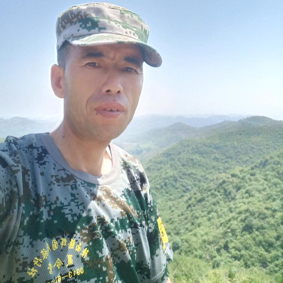 （五哥)东山再起