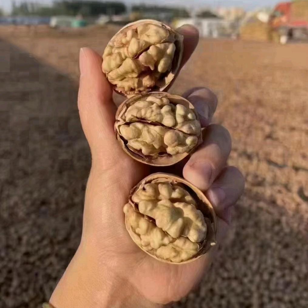 果冉香新疆特产