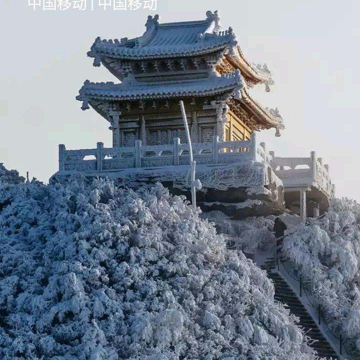 在水一方看大海