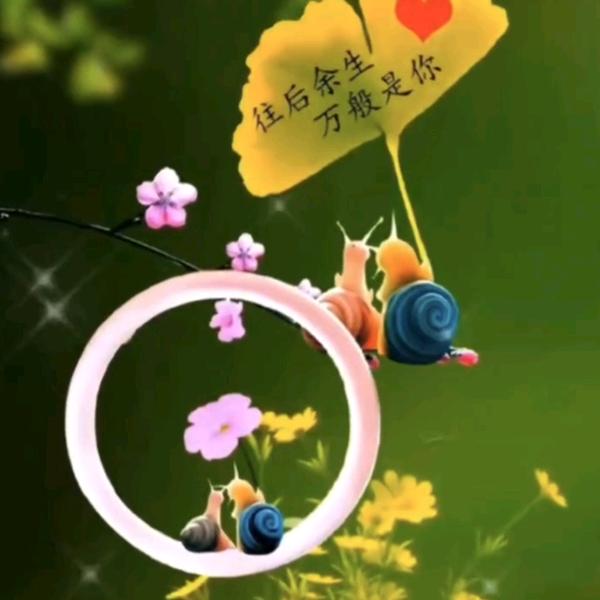 胖哥(｢･ω･)｢嘿