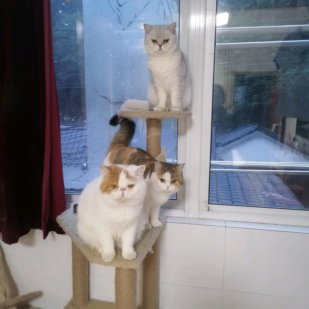 天气很好，我很好