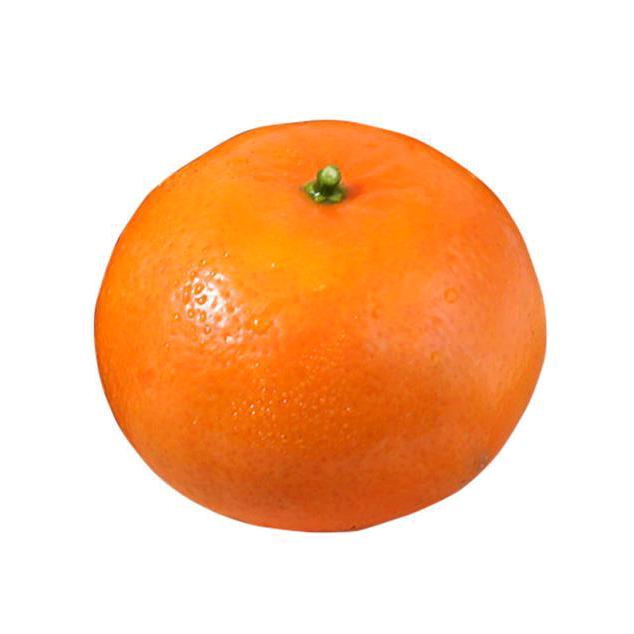 _橘子🍊