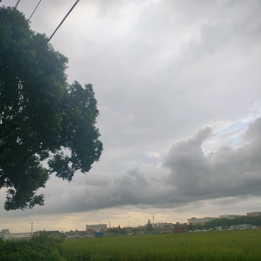 唐二妹81939086