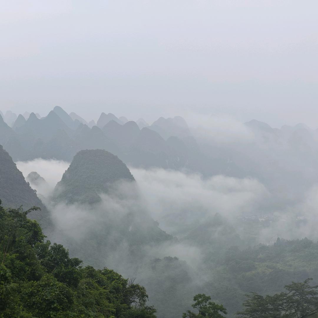 荃绿有