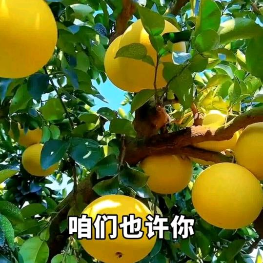 正能量