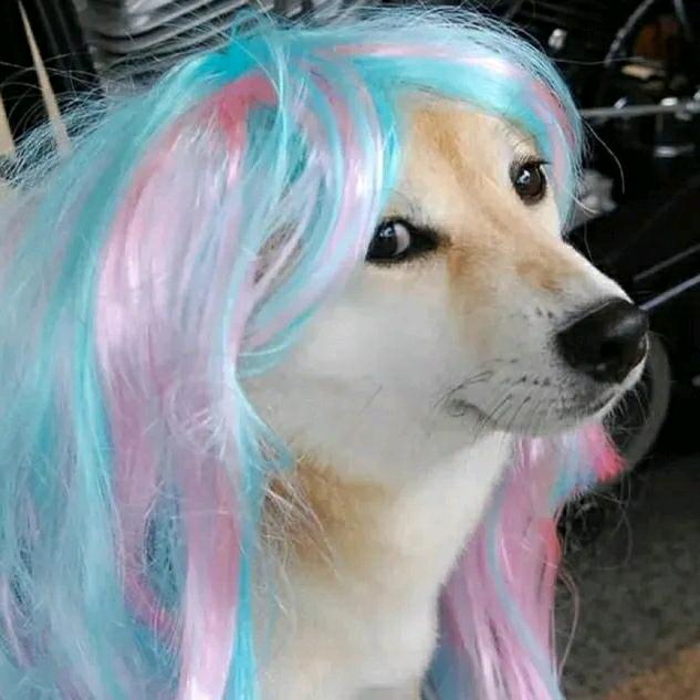 长矛粘屎戳谁谁死