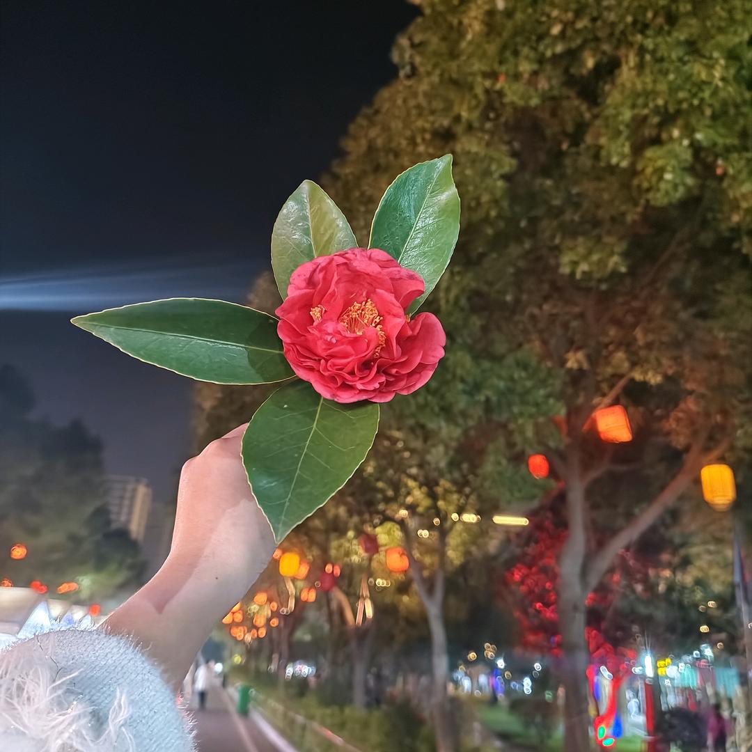 💔᭄心∴丢了࿐