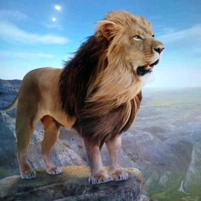 一生靠自己