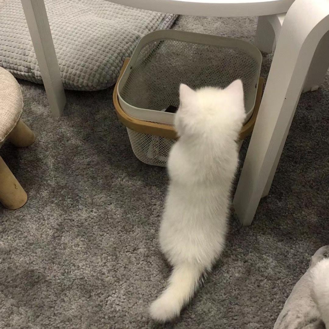 十二点再醒头像