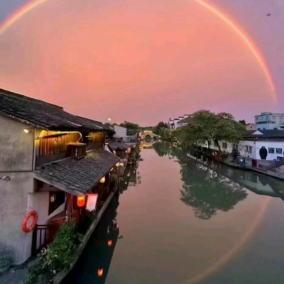 我来人间凑数的