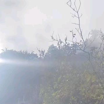 牵挂