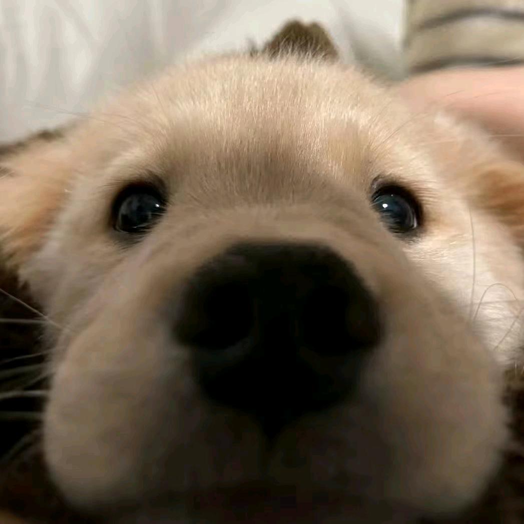 那就周八见