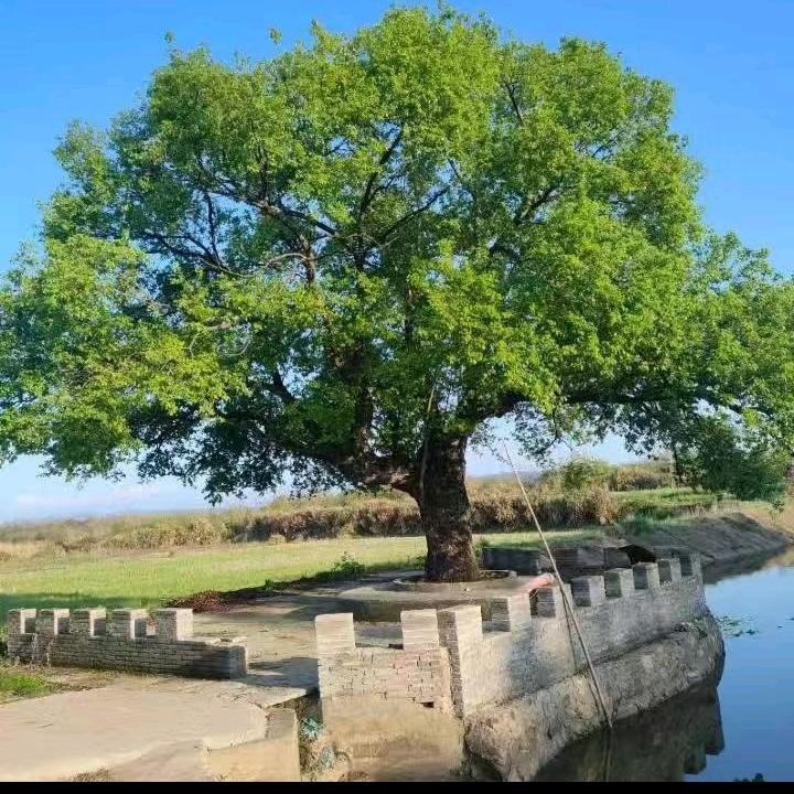 清水六月，我累吗？