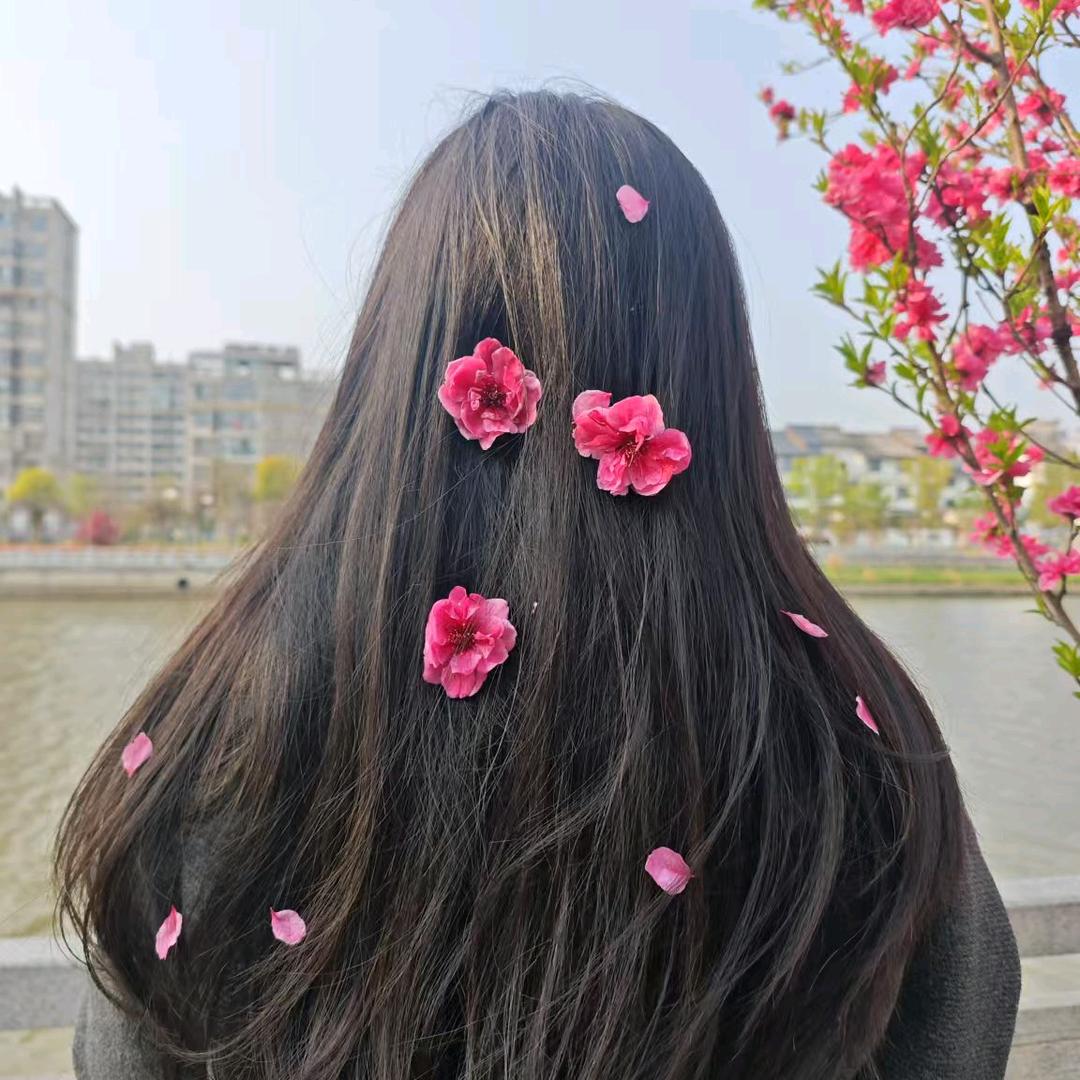 春暖花开🌹🌹✧٩(ˊωˋ*)و✧