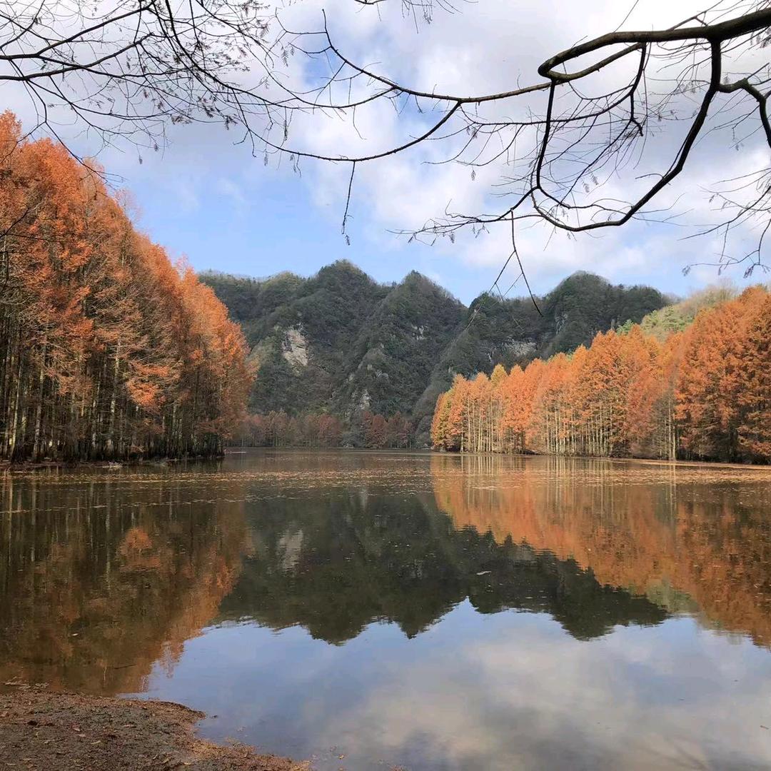 李学富