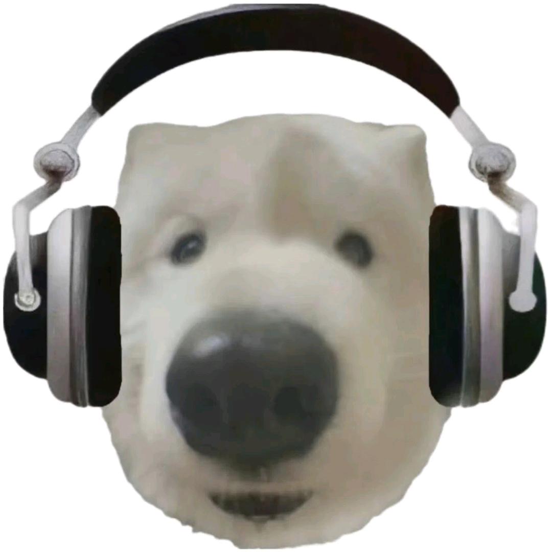 oio