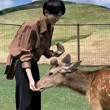 岁岁常欢愉