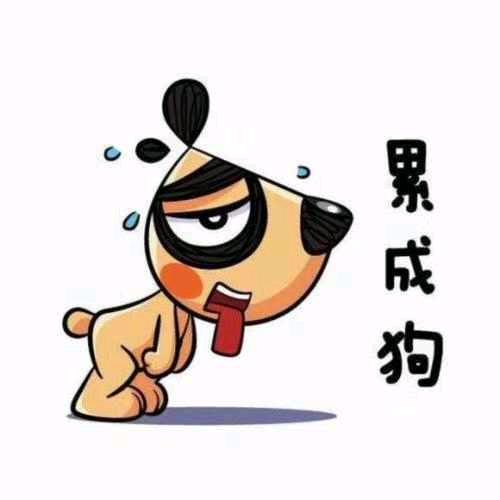 (๑⁼̴̀д⁼̴ ๑) 别拍我