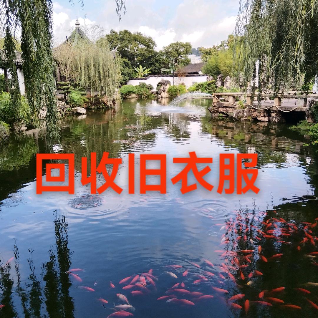 丘北旧衣回收余姐