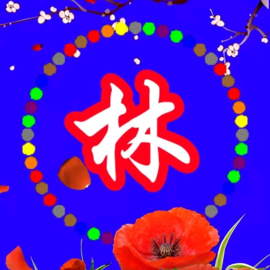 林九哥