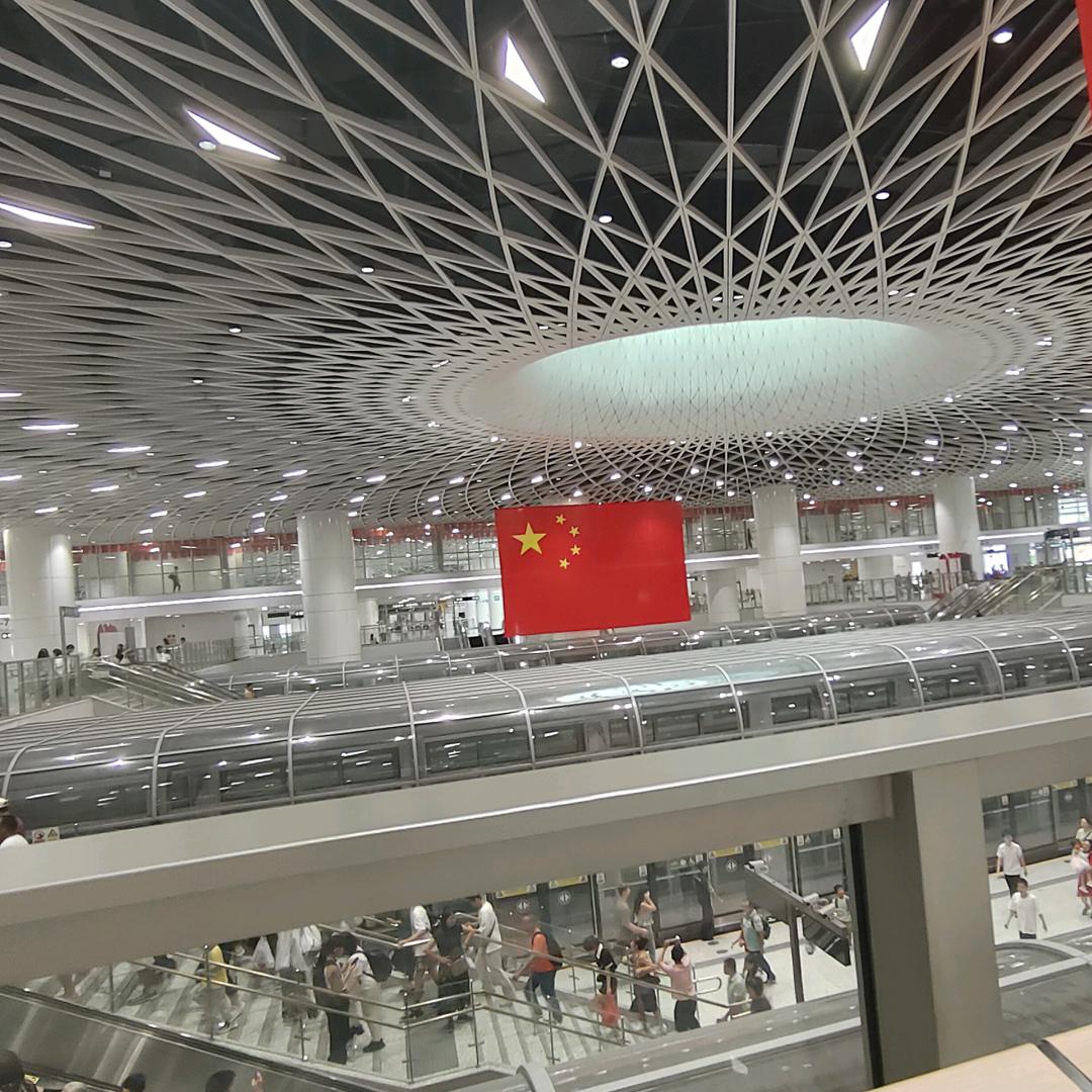 为谁风露立中宵