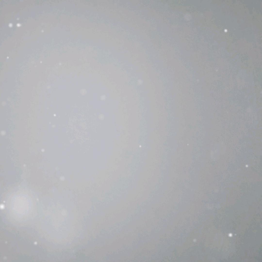 啊珍