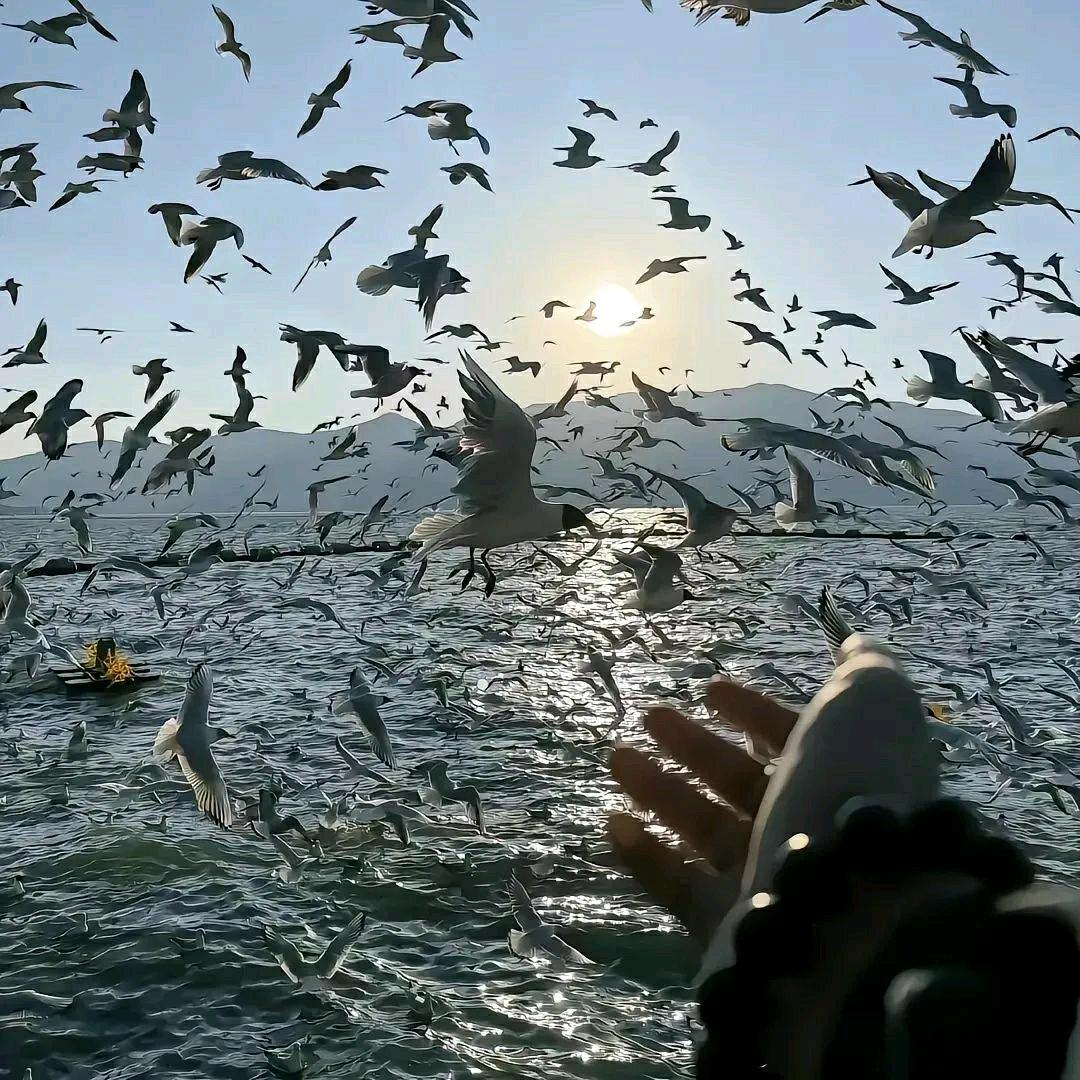 隆昌极浪水世界——小帅