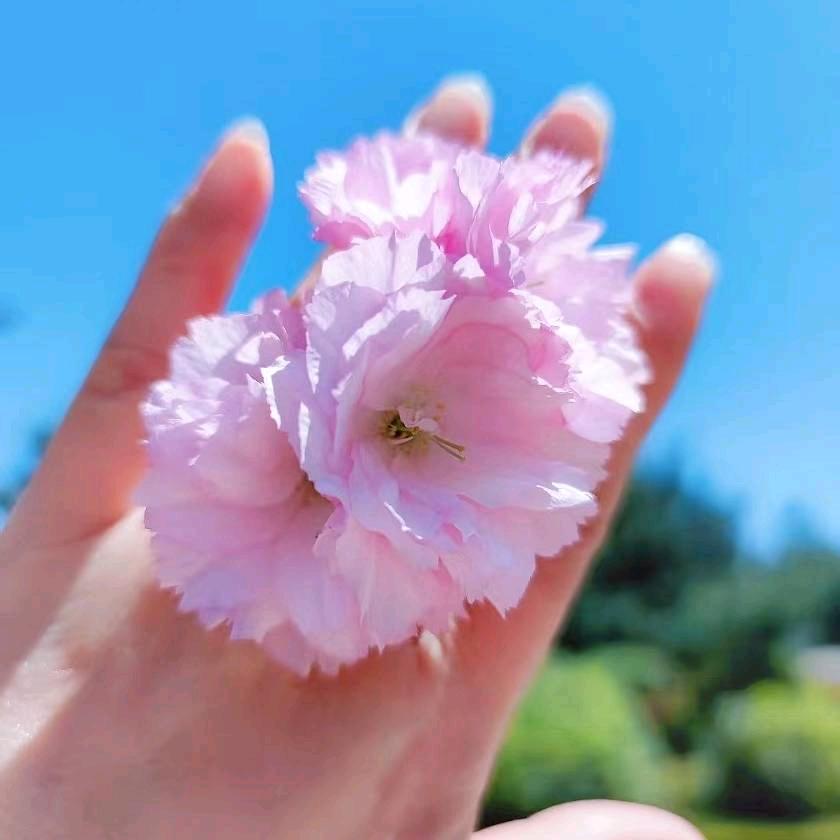 雯