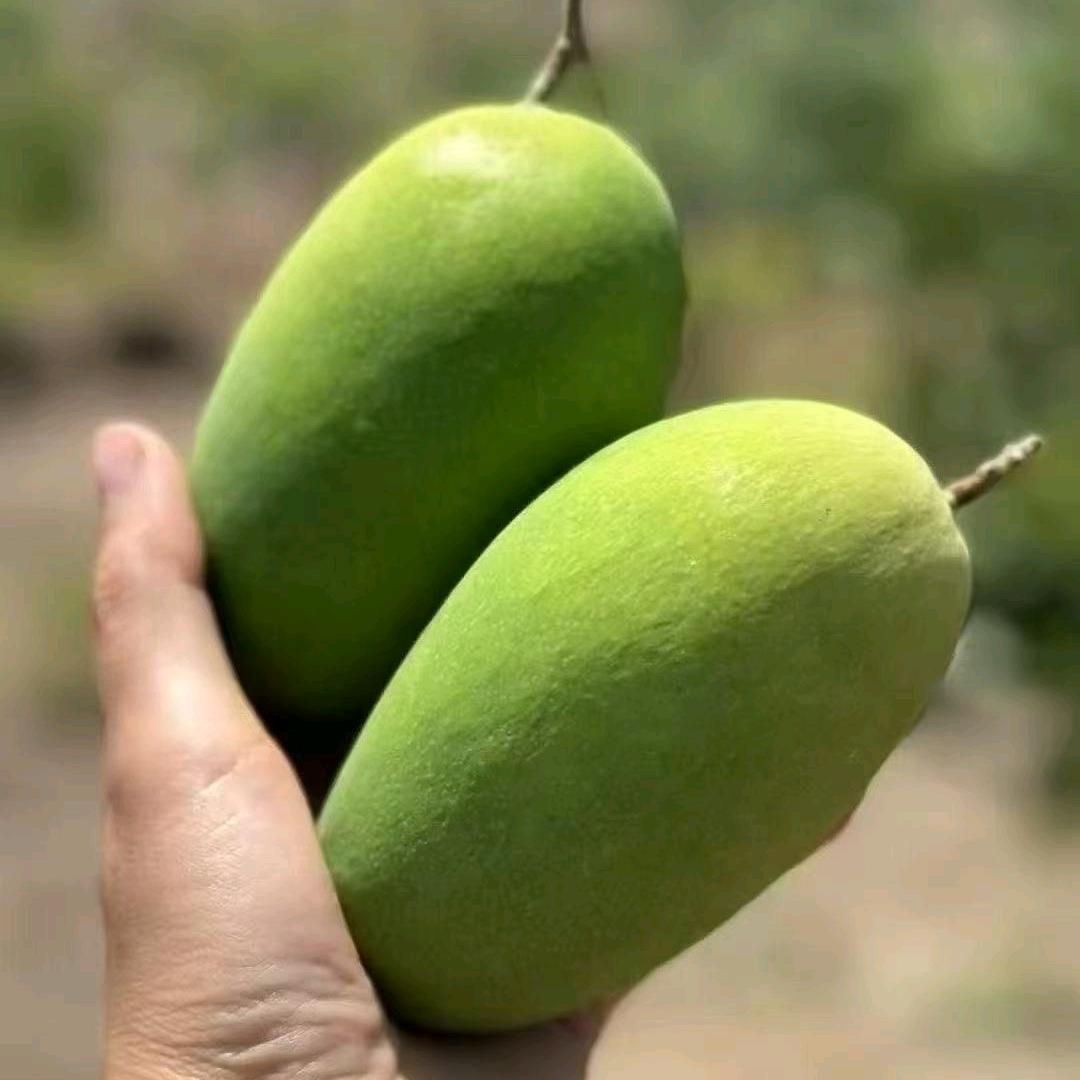 大凉山应季新鲜水果店