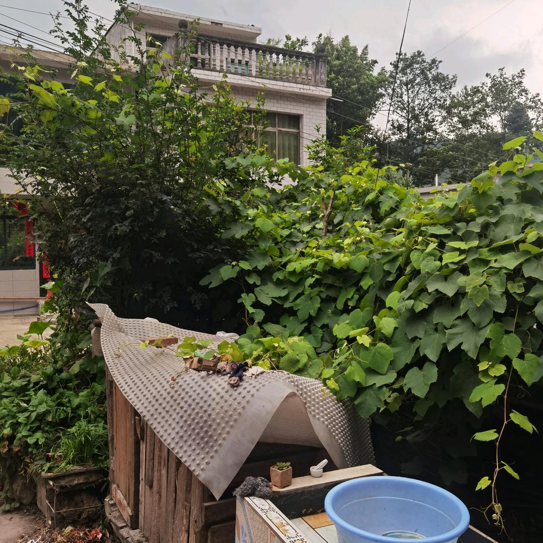 简简单单*