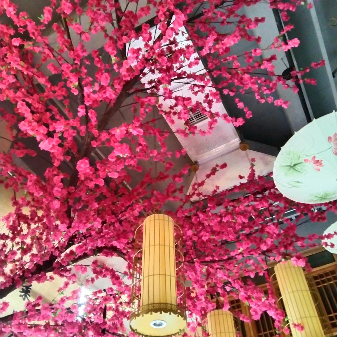美